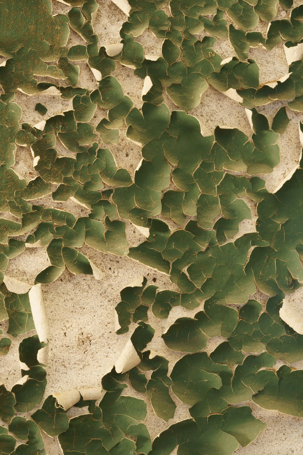 Kolmanskop_Texture_2_3000.jpg