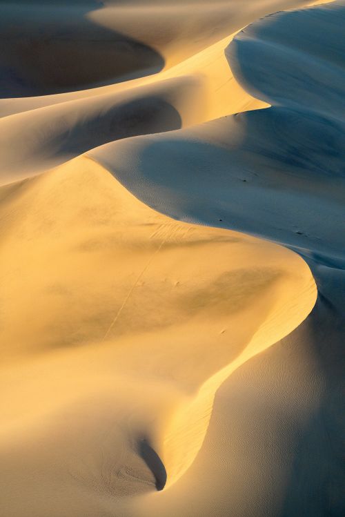 Dune Contours - On White